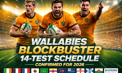 wallabies Rugby